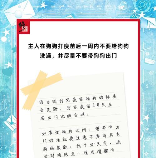关于小狗的驱虫和打疫苗时间表（保护宝贝健康的第一步-驱虫和打疫苗）