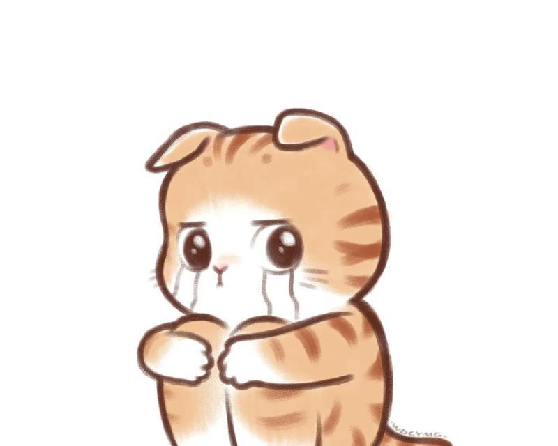 猫咪也会哭吗？揭开它们的情感世界（探秘猫咪的感情表达和哭泣行为，解读它们的内心世界）
