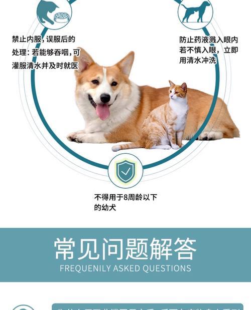 金毛驱虫后多久起效？（了解金毛驱虫的效果时间和注意事项）