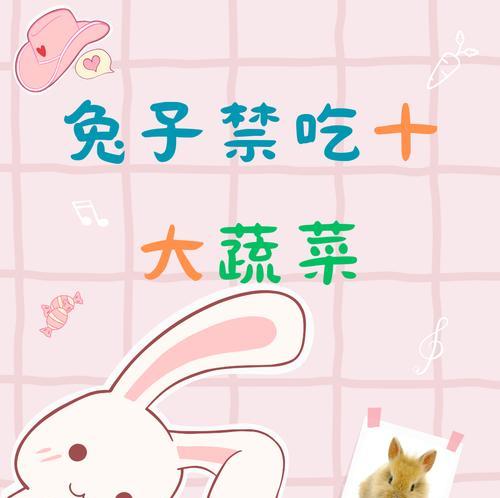 兔子的水果饮食（探索兔子喜爱与适合食用的水果种类）