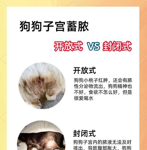 剖腹产对狗狗的副作用与适应症（剖腹产的必要性及相关风险分析）