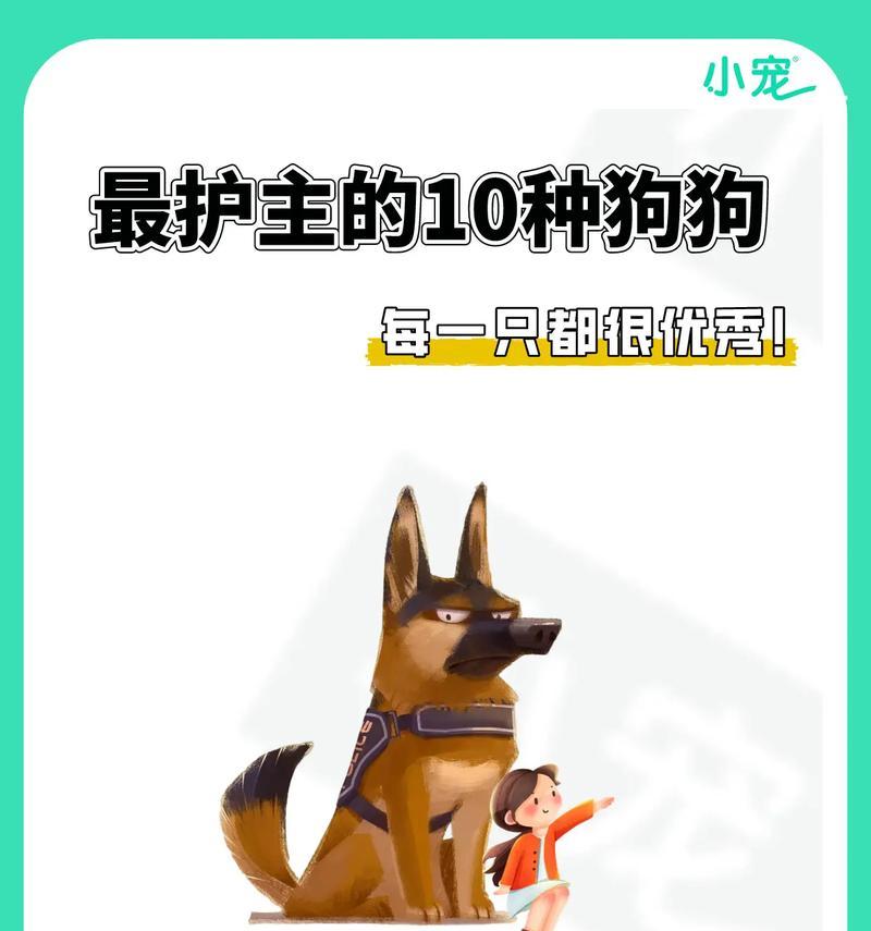 养这些狗狗开销最大，你的狗狗在其中吗？（探究养这些狗狗的成本，为你提供合理的预算规划）