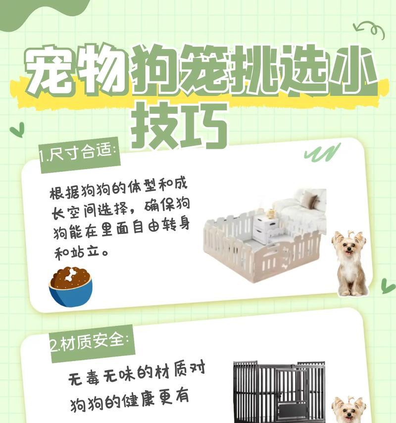 幼犬关笼子的时间有哪些要注意的？（合理关笼子让幼犬健康成长）