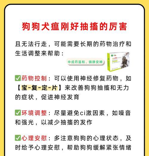 犬瘟四肢抽搐的症状及处理方法（犬瘟引起的四肢抽搐现象详解及有效措施）
