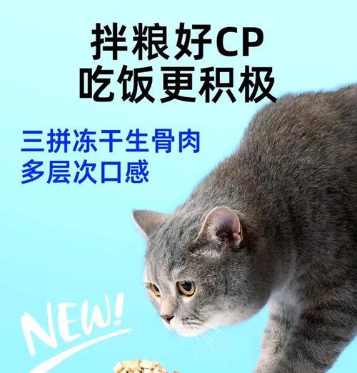 以养猫小科普——生骨肉喂食大法（为宠物猫提供更健康的饮食选择）