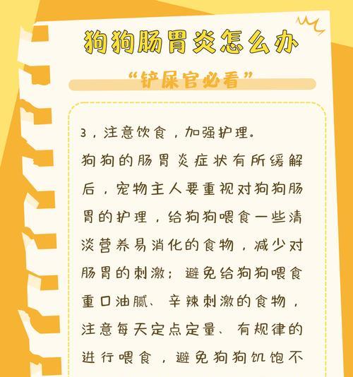 狗狗肠胃炎怎么照顾？（预防脱水的关键措施）
