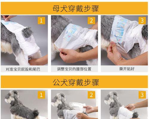 泰迪狗大姨妈周期和护理要点（了解泰迪狗的生理周期和正确护理，让你成为合格的狗狗家长）