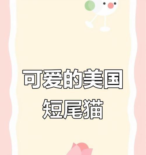 探寻世界上最受欢迎的短尾巴猫品种（从美国短毛猫到日本短尾猫，了解这些迷人的猫咪）