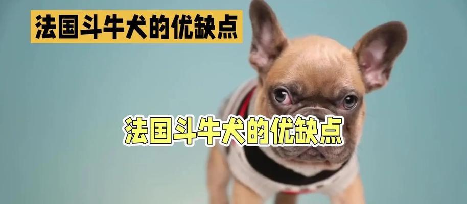 以法牛的缺点及应对之策（探索以法牛的不足之处，以提升农业发展效率）