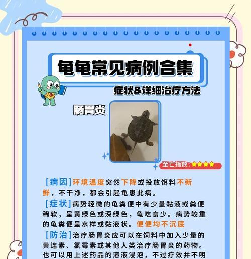 龟龟吃多了东西也会“撑死”？（揭开龟龟吃多引发健康危机的真相！）