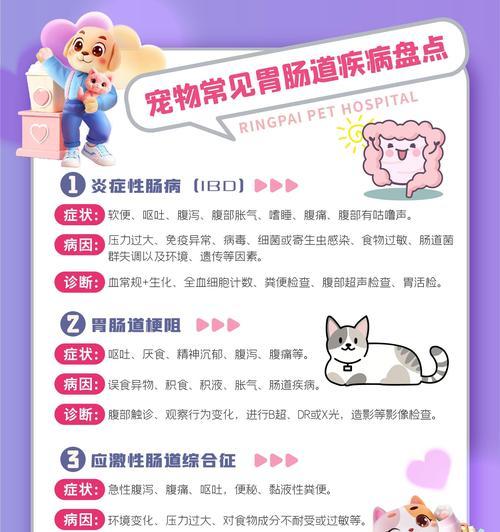 猫咪睡眠时间的重要性（探究猫咪睡眠需求及注意事项）