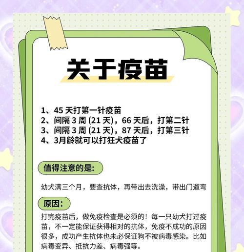 狗狗疫苗接种时间表——保护宝宝健康的第一步（从出生到成年，狗狗打疫苗的关键时间节点）