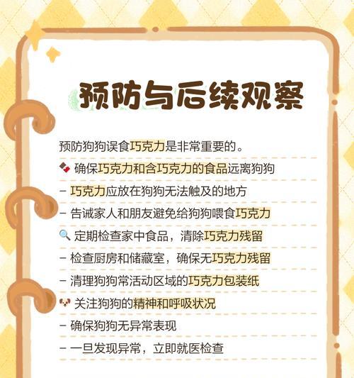 狗吃巧克力的反应时间有多久？（了解狗吃巧克力后的反应时间，保护我们的可爱宠物）