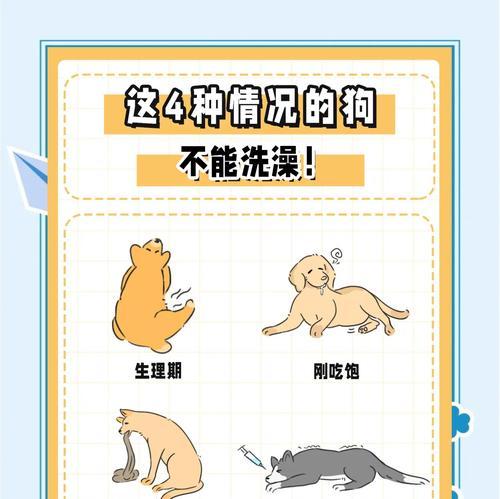 狗狗体外驱虫及洗澡时间安排（科学合理的宠物健康护理方法）