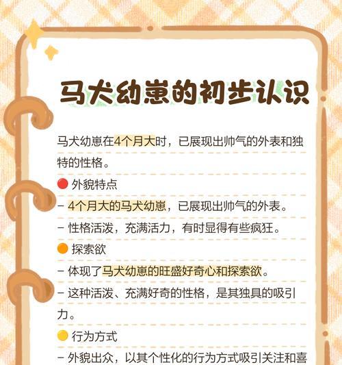 以马犬下狗下多久？（探索以马犬下狗的时间间隔）