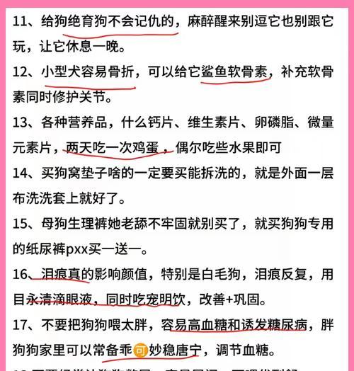 博美犬的禁食水果指南（博美犬不能吃的水果及其潜在风险）
