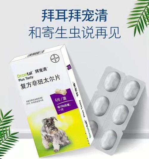 母犬配种后的驱虫时间及注意事项（合理安排驱虫时间，保障母犬与幼犬健康）