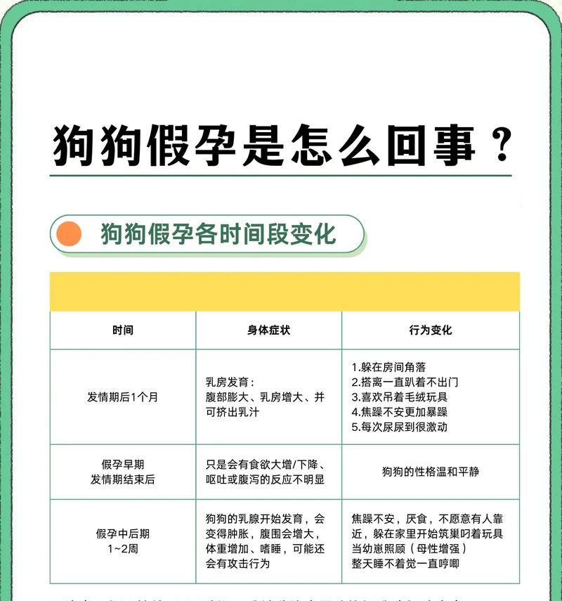 狗怀孕后多久开始产奶水（奶水分泌时间、重要性和处理方法详解）