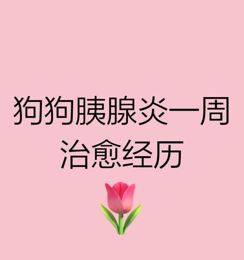 狗狗胰腺炎会吐多久？（胰腺炎引起的呕吐持续时间及治疗方法）