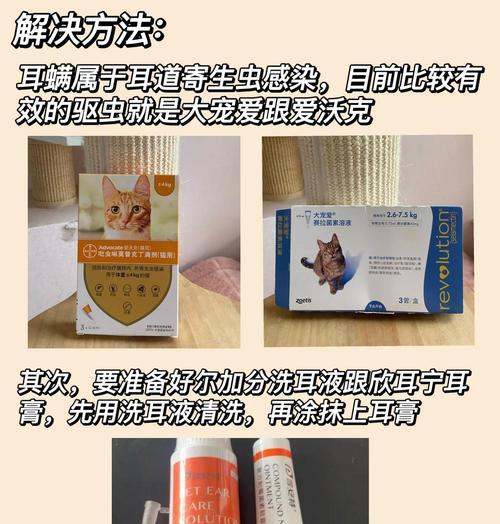 狗狗耳螨（耐心是关键）