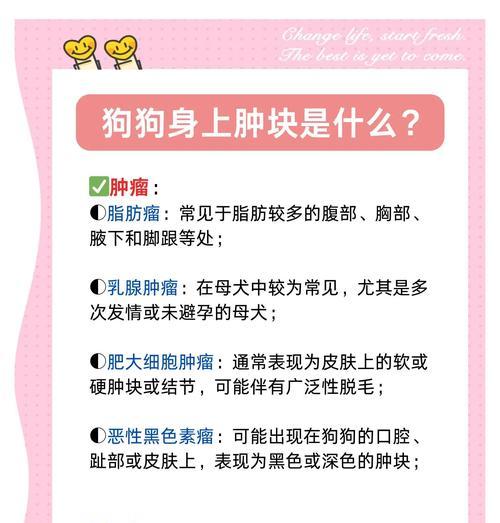 狗狗突然肿得像猪头，可能与粘液囊肿有关（了解狗狗突然肿得像猪头的原因及应对方法）