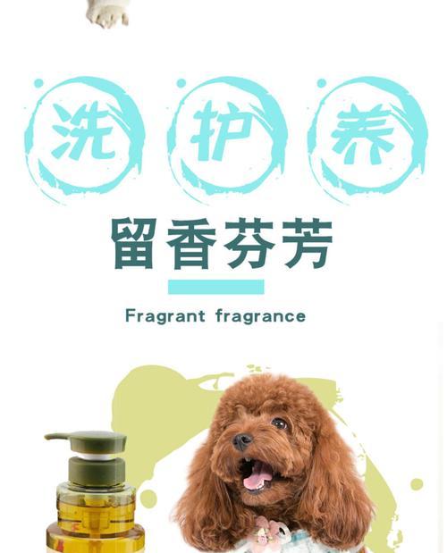 狗狗香波的使用寿命（了解狗狗香波的使用寿命及延长方法）