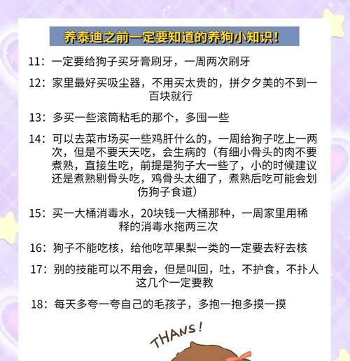 宠物泰迪可以吃哪些蔬菜？（营养丰富的蔬菜对泰迪狗狗的健康至关重要！）