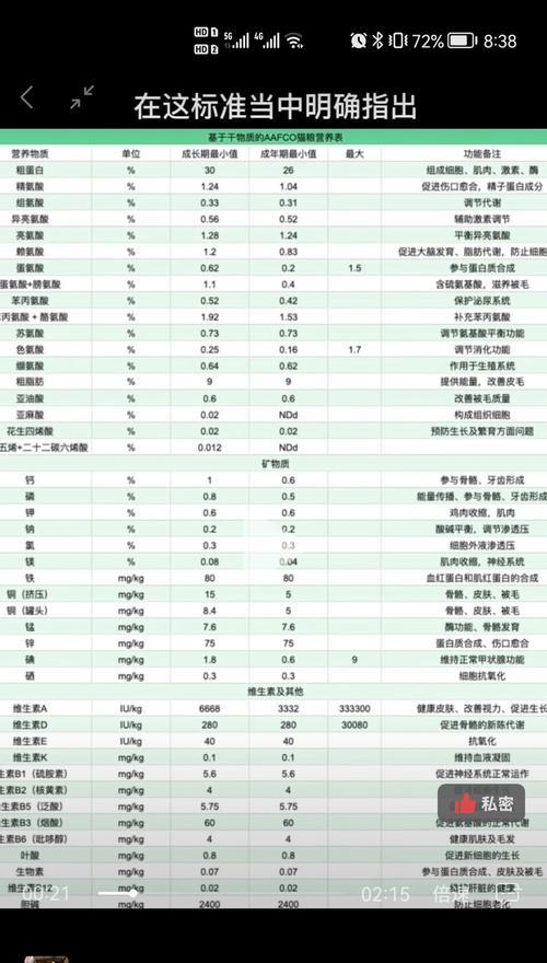 小猫饲养全攻略（补充你的养宠盲点，让你与小猫相伴更久）