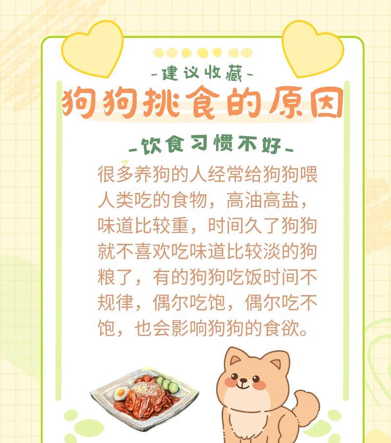 狗狗吃东西卡喉的症状、急救方法及预防措施
