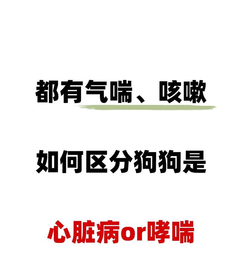 狗狗先天哮喘（探究狗狗先天哮喘的寿命与治疗）