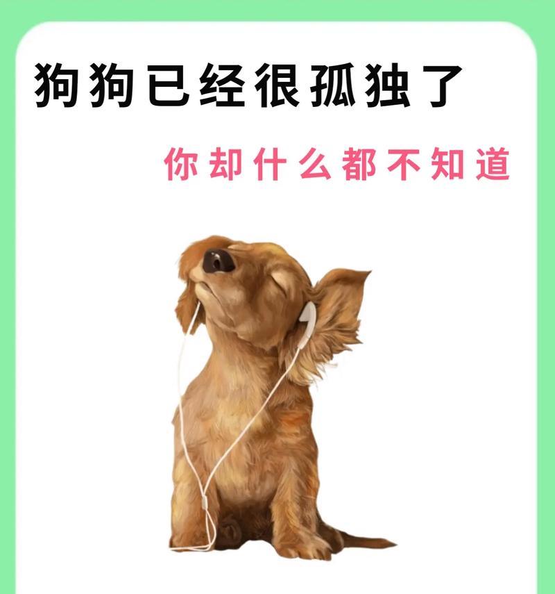 如何成为一名合格的铲屎官（掌握这些狗狗冷知识，让你成为宠物狗的贴心管家）