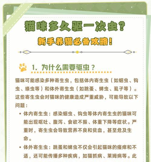 猫咪驱虫药的最佳用餐时间和注意事项（为宠物猫提供最佳的驱虫保健）