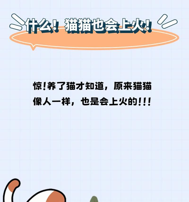 猫的耐热能力与适应炎热天气的方法（了解猫的热感知及应对措施，让你的爱宠度过炎夏）