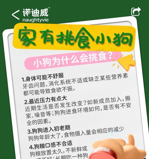 宠物狗能吃板栗吗？（给狗狗吃板栗需要注意些什么？）