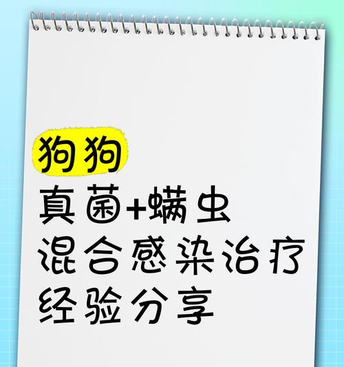 狗狗螨虫的治疗时间有多长？（探究狗狗螨虫治疗的关键因素及方法）