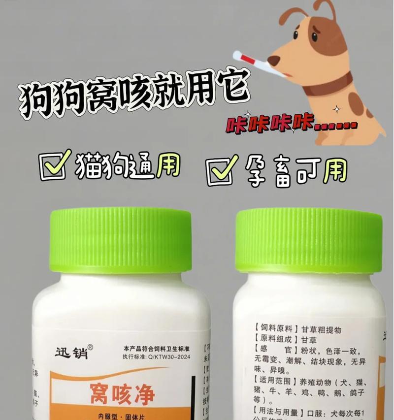 探究狗咳嗽的原因及预防方法（了解狗狗咳嗽的病因，提高铲屎官的疾病预防意识）
