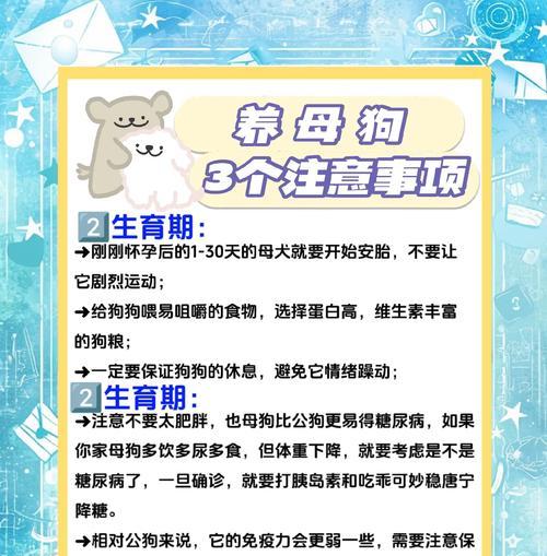 新手养狗（探究公狗和母狗的差异及选择要点）