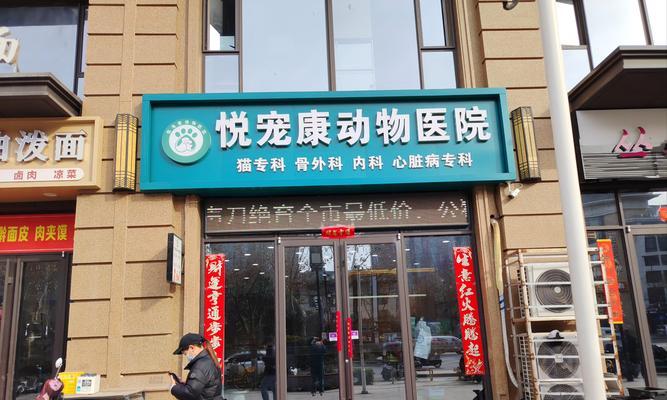 探索宠物美容项目的新趋势（让你的爱宠焕发光彩的创新方式）