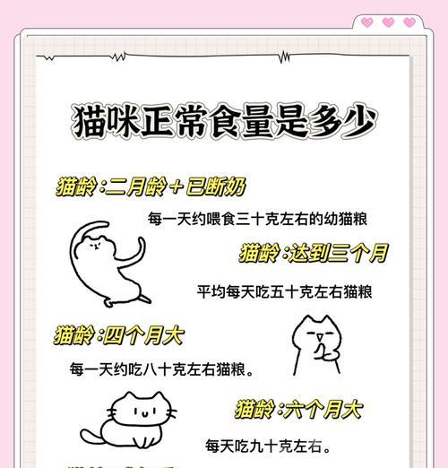 猫咪一天应该喂几餐？（科学喂养方式让你的猫咪更健康。）