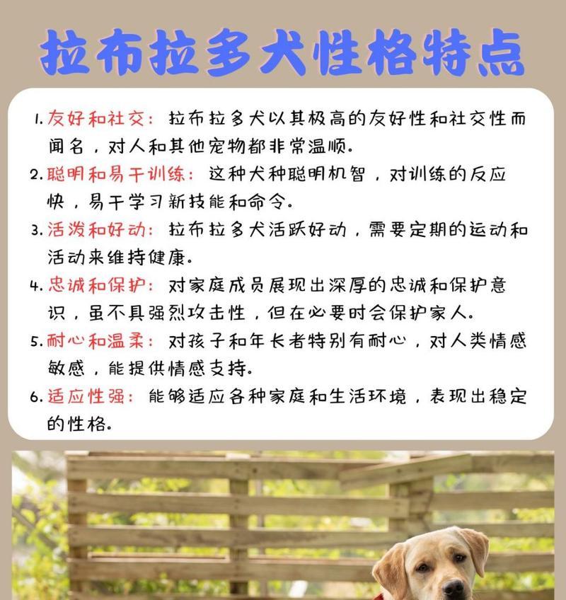 拉布拉多幼犬适应新家的时间及方法（帮助幼犬尽快适应新家，建立安全和舒适的环境）