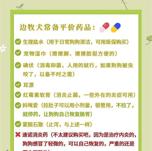 边牧狗狗的驱虫频率及注意事项（边牧犬驱虫周期、常见驱虫方法、健康建议）
