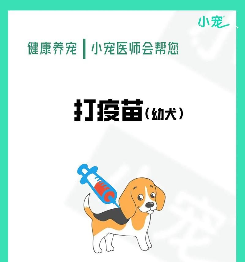 狗驱虫时间表（狗打针多久一次？如何科学驱虫？）