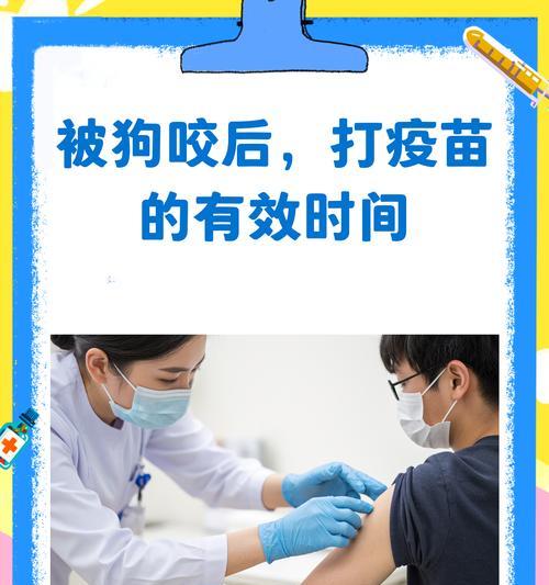 狗狗接种完疫苗后多久可以外出？（打疫苗后适合牵狗出门的时间安排及注意事项）