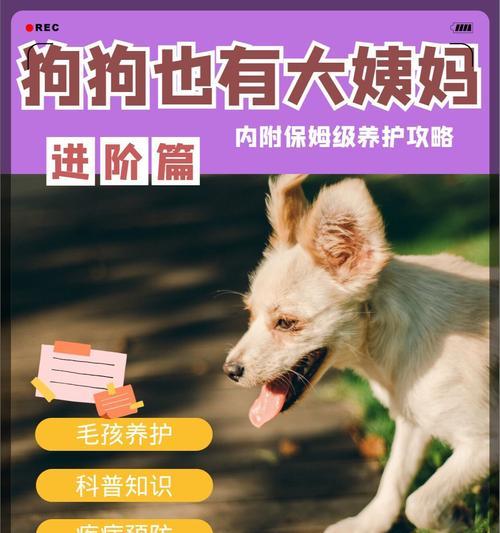 狗狗例假周期的规律剖析（探讨狗狗例假的周期和频率，为养狗家长提供参考建议）