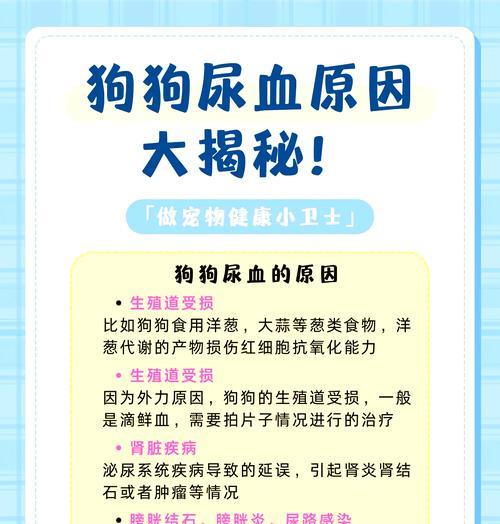 狗狗手术后是否会出现贫血？（了解手术后狗狗贫血的常见情况及预防措施）