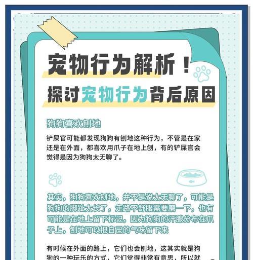 为什么狗狗会刨窝？（探究狗狗刨窝的行为和原因）