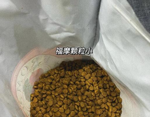 福摩狗粮保质期是多久？（了解福摩狗粮保质期的重要性）