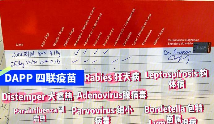 狗疫苗注射后的外出时间探讨（打疫苗｜保护健康｜合理安排外出）