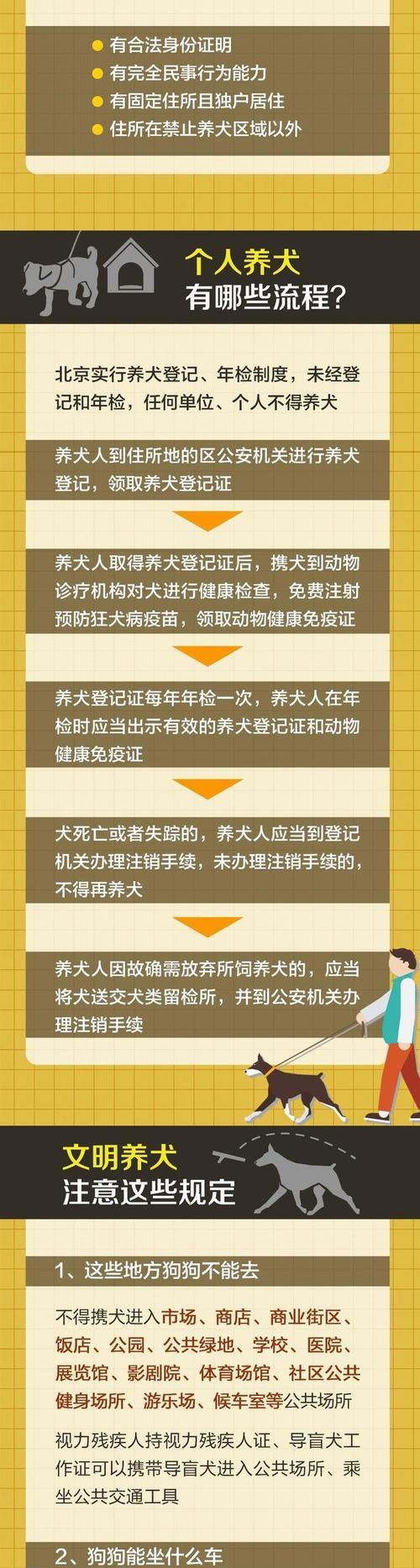 中国哪些城市禁止养狗？（探讨中国城市禁止养狗政策的原因及影响）