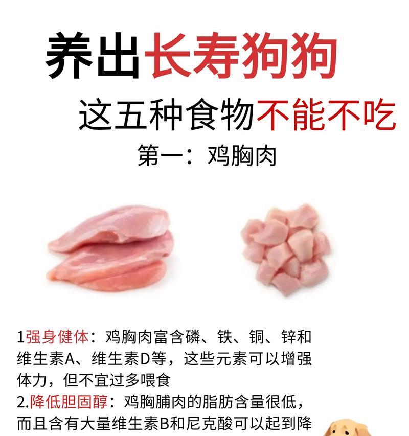 狗狗不吃食物无精打采怎么办？（挑食还是心情不好？解决方法一网打尽）